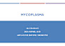create presentations, data entry and thesis